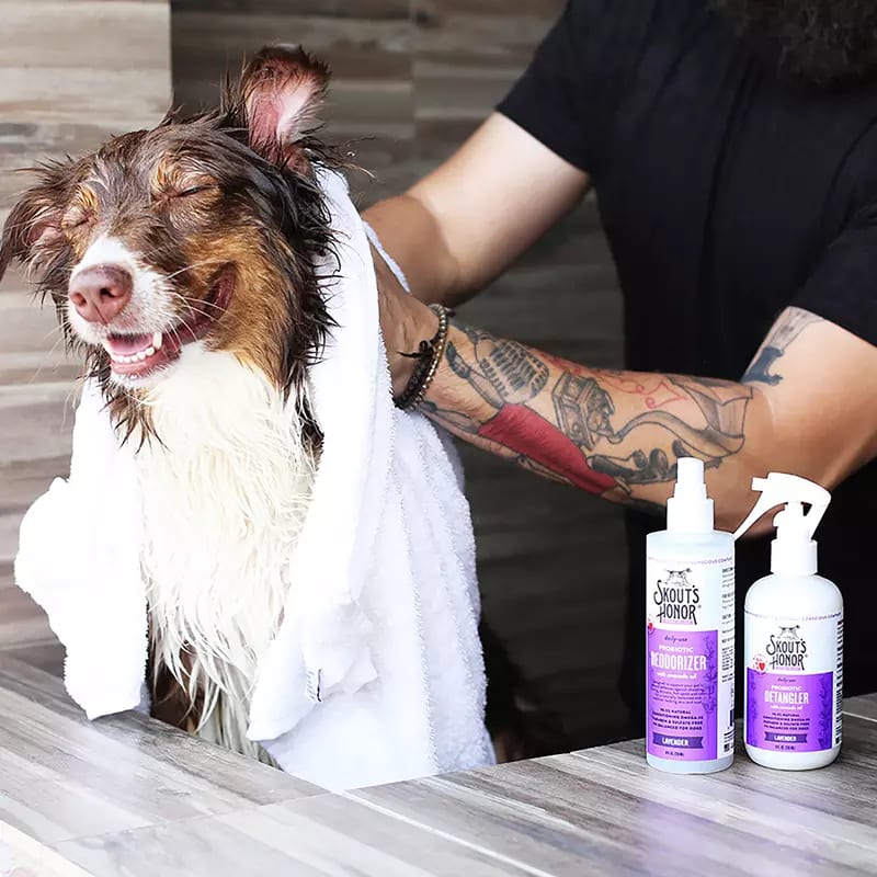 SKOUT´S HONOR Probiotic Deodorizer para perros y gatos - Olor lavanda2