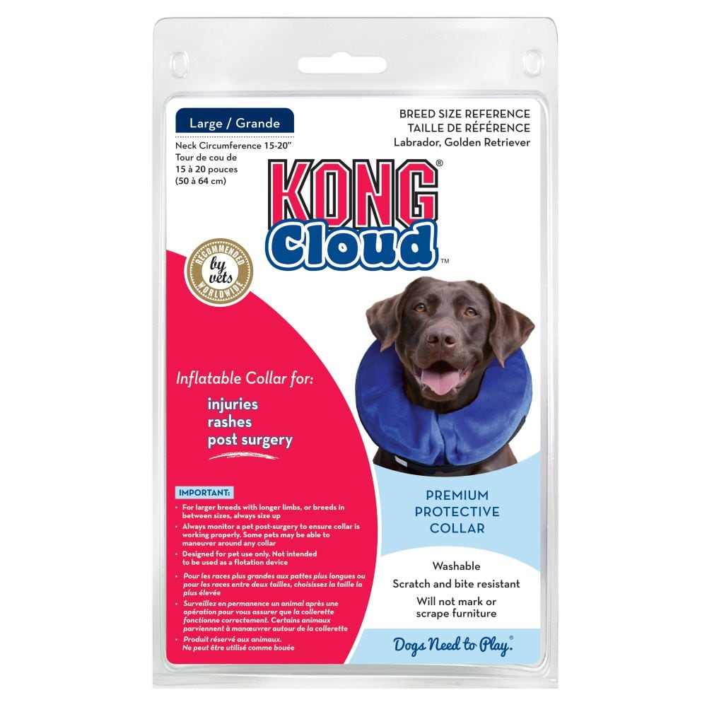Kong Cloud1