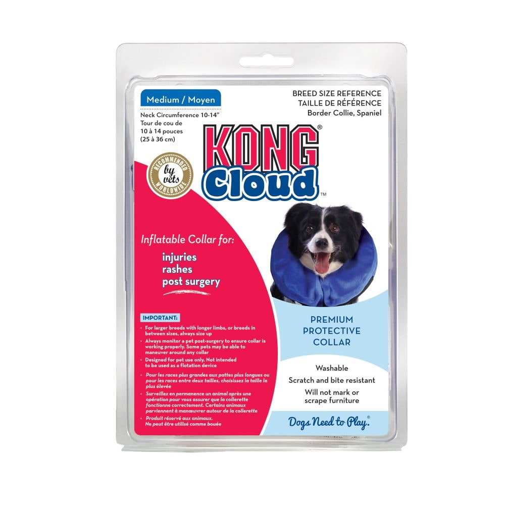 Kong Cloud4