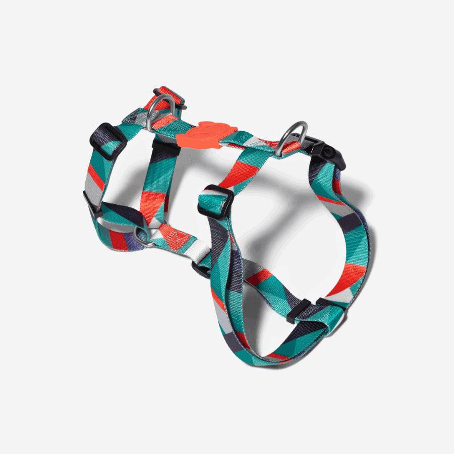 Zeedog H Harness Ella3