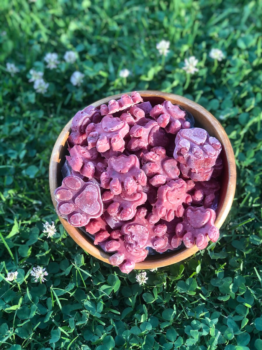 Alimento crudo Entreperros - Menu para gatos 4 Kg2