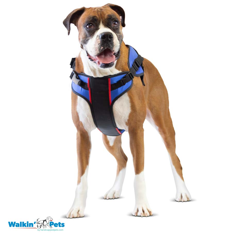 Walkin' Lift Combo delantero - Arnes delantero2