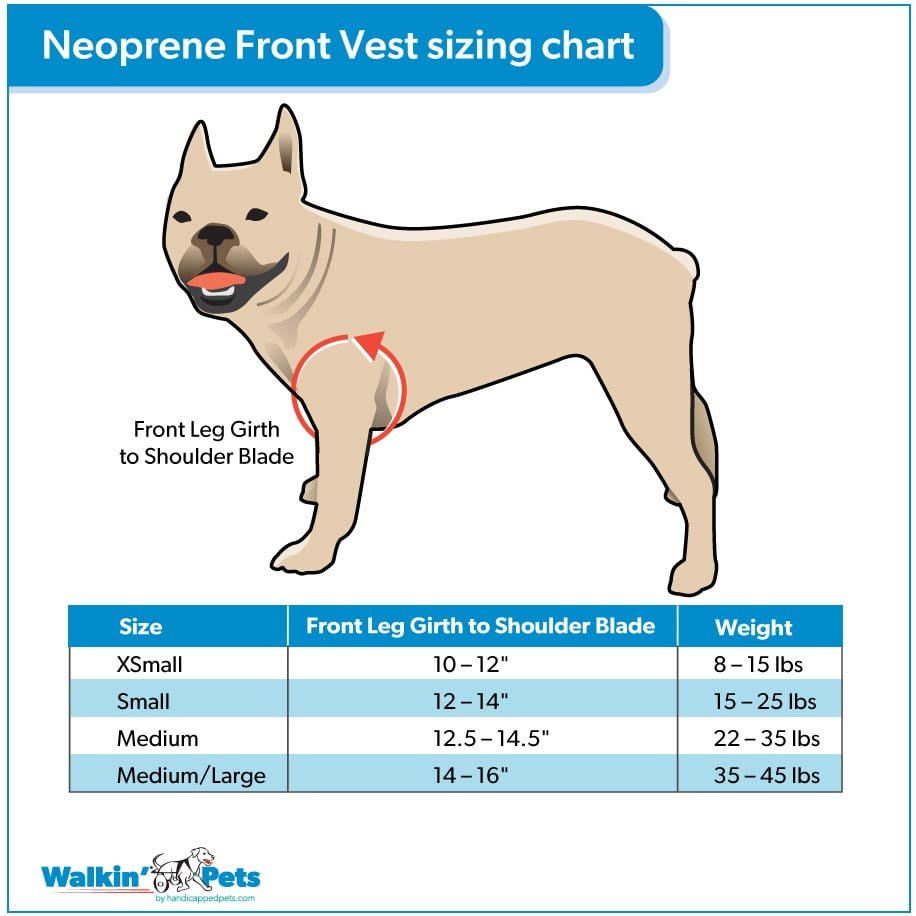 Arnes de neopreno delantero Walkin pets7