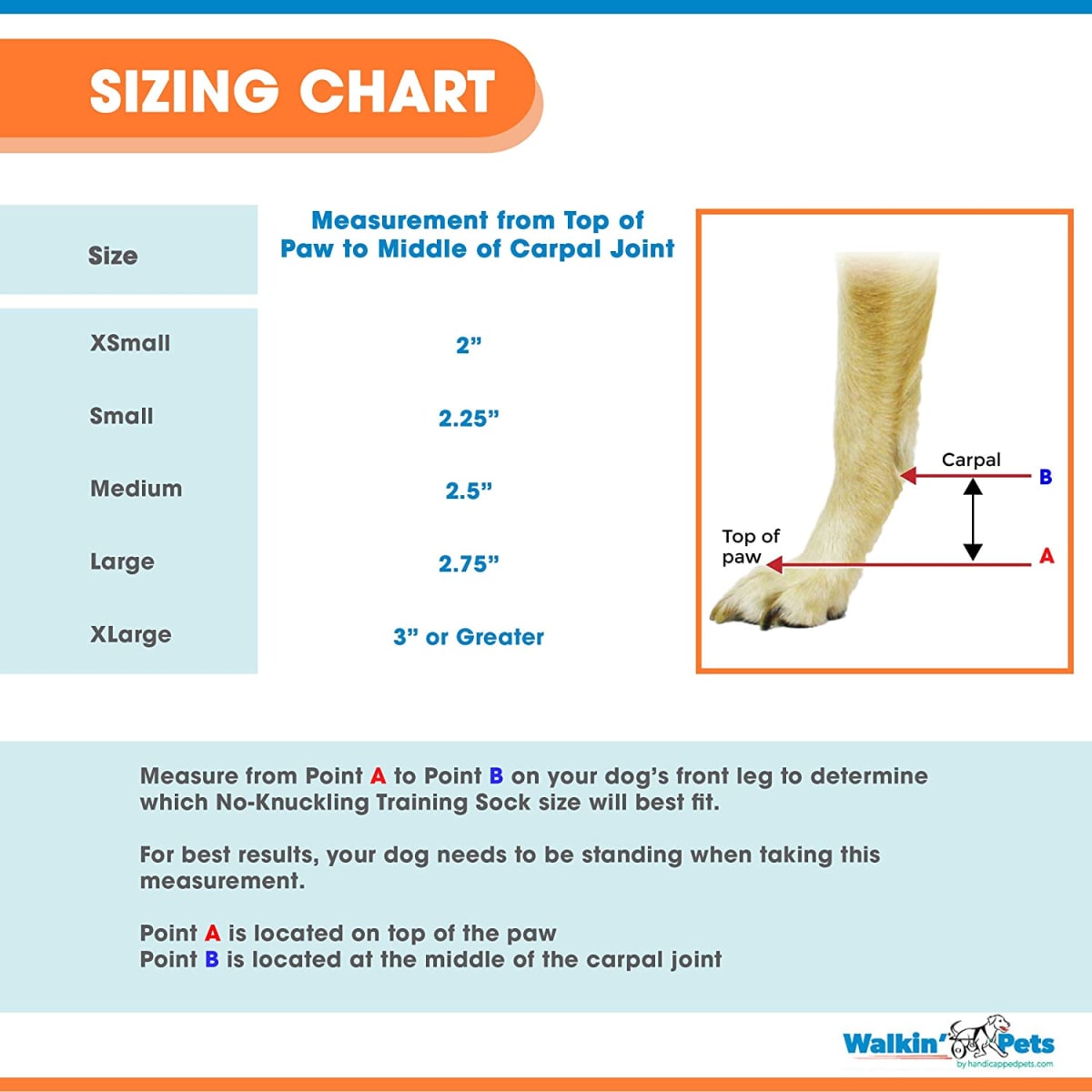 Corrector propioceptivo delantero - No Knuckle Training Sock5