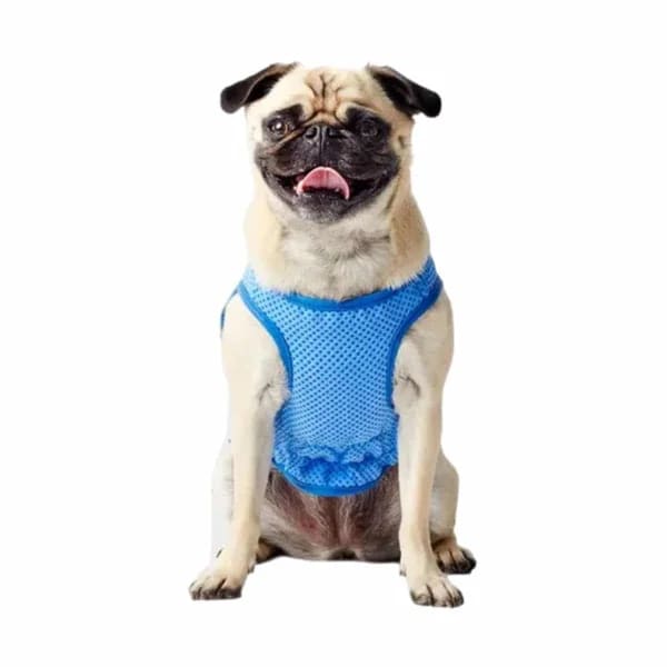 Ice vest - Chaleco refrigerante GF pet6