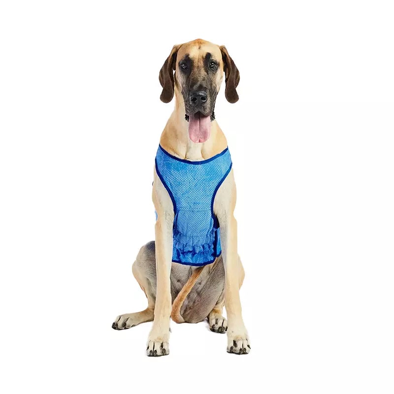 Ice vest - Chaleco refrigerante GF pet8