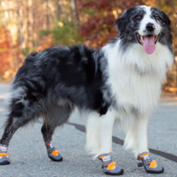 Par de Botas Walkin naranjas5