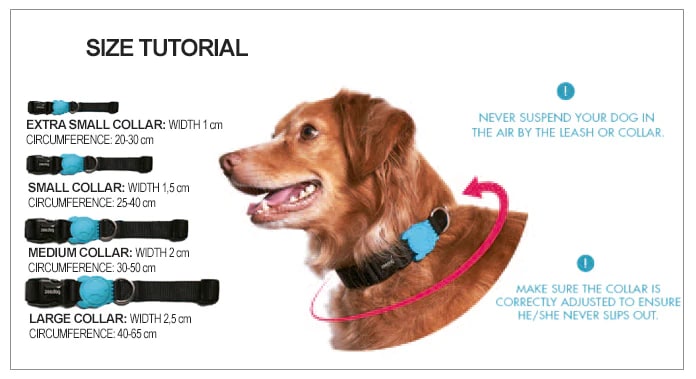 Zeedog Collar Nox Lumen3