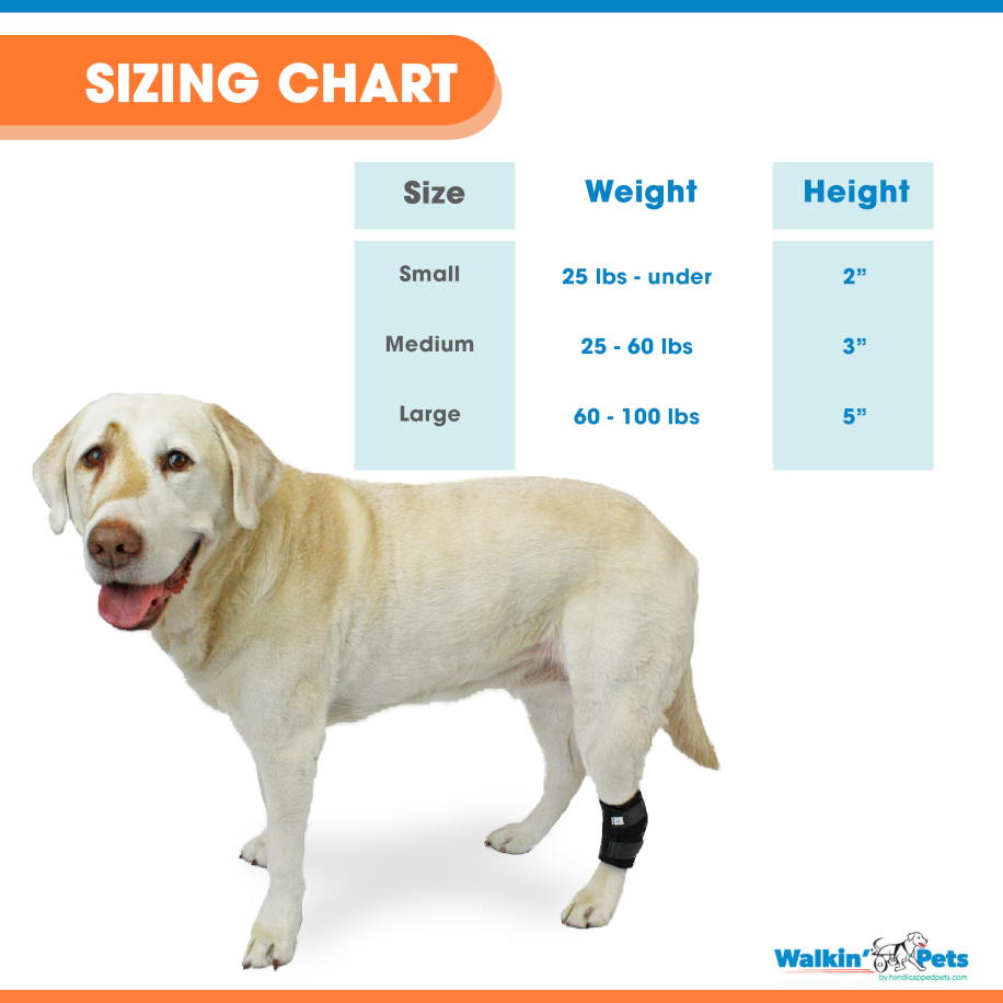 Venda para corvejones Walkin Pets5