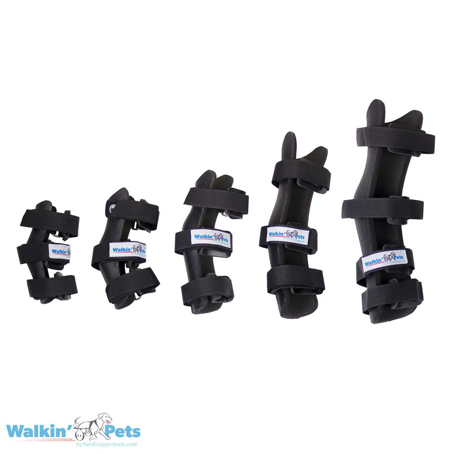 Hock Splint - Férula para corvejón Walkin Pets2