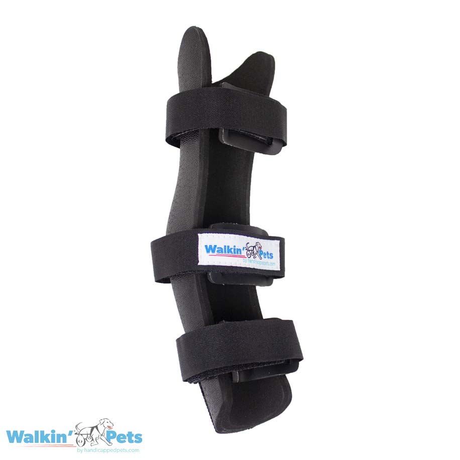 Hock Splint - Férula para corvejón Walkin Pets4