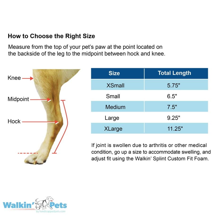 Hock Splint - Férula para corvejón Walkin Pets5