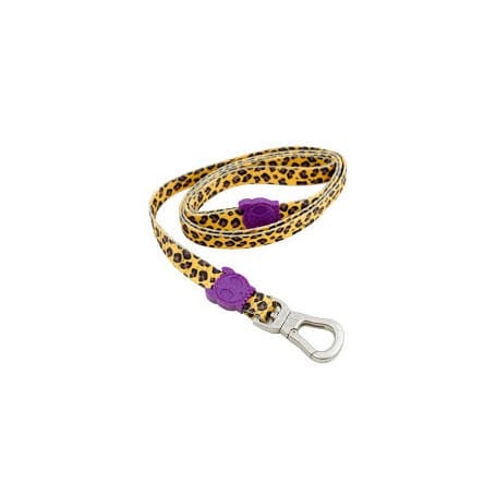Zeedog Leash Honey2