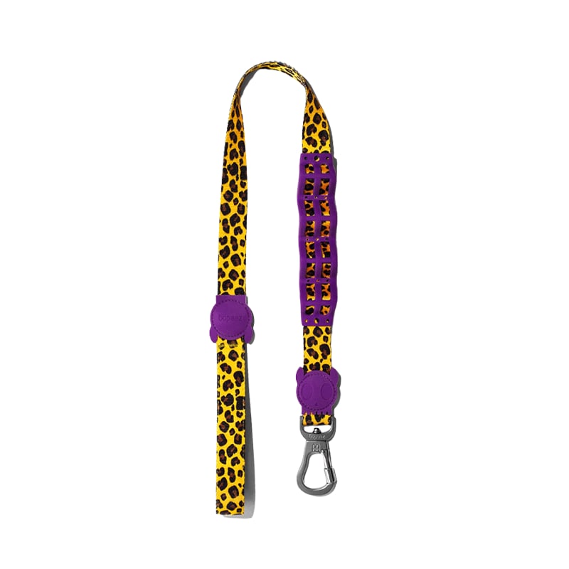 Zeedog Ruff Leash Honey1