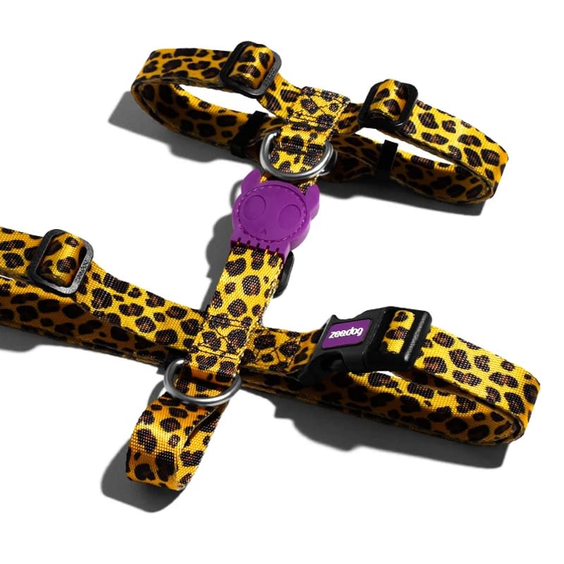 Zeedog H Harness Honey2