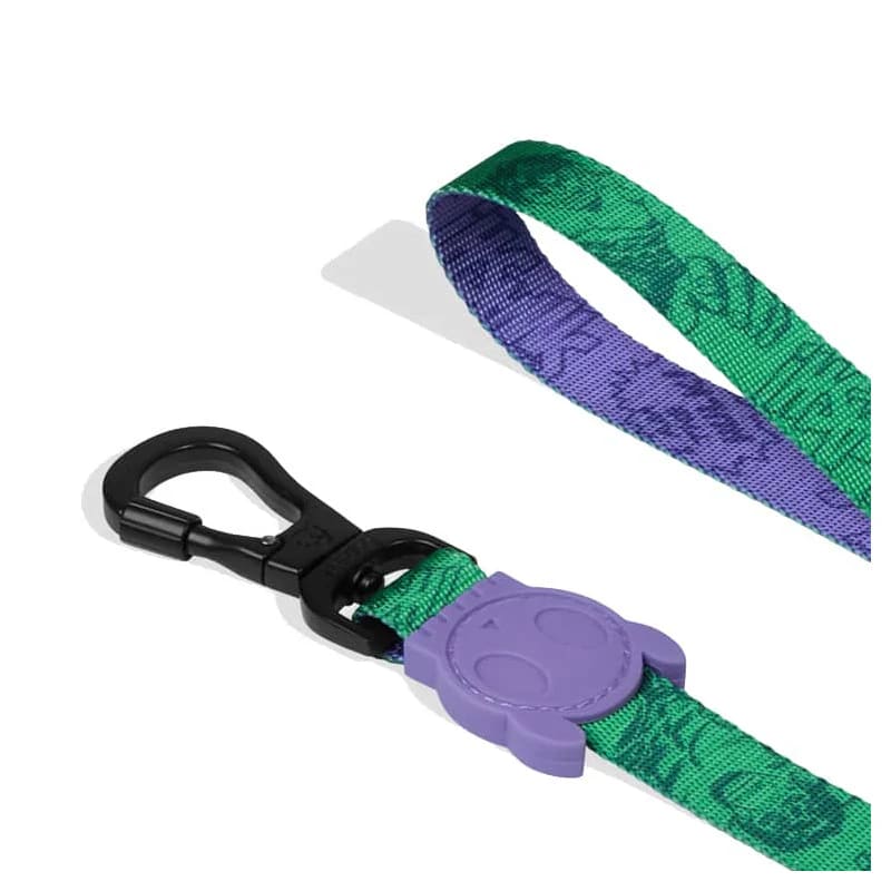 Zeedog Leash Hulk2