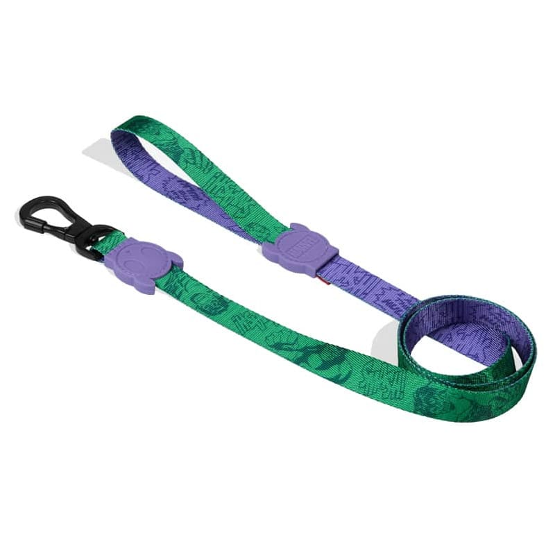 Zeedog Leash Hulk1