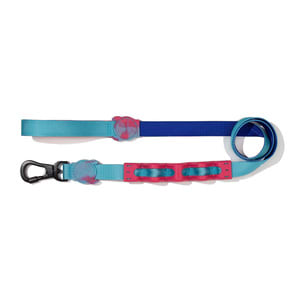 Zeedog Ruff Leash Hydra2