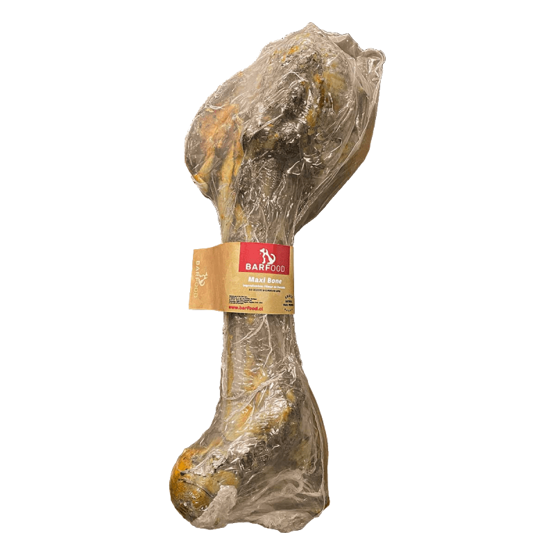 Maxi Bone vacuno 40 cm Barfood1