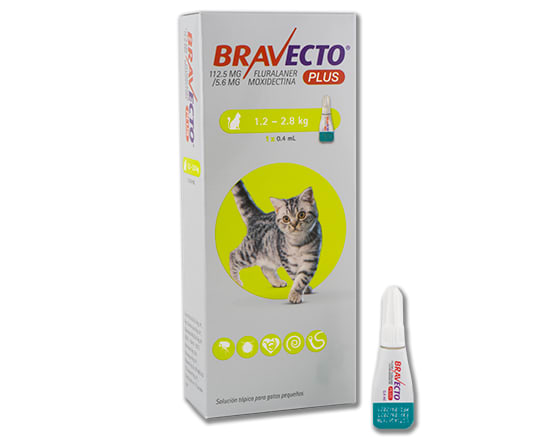 Bravecto Plus Gato - Antiparasitario externo e interno2