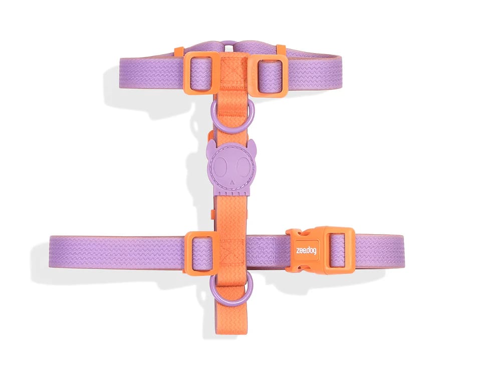 Zeedog H Harness Neopro Iris2