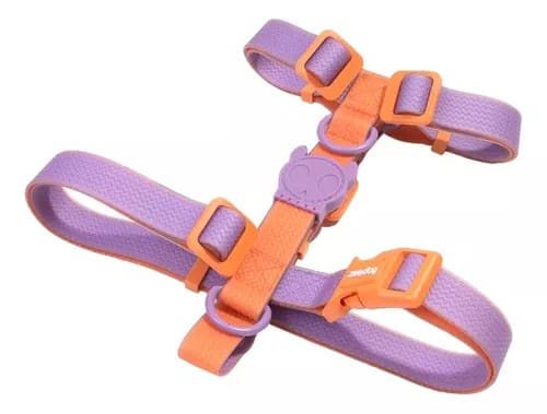 Zeedog H Harness Neopro Iris1