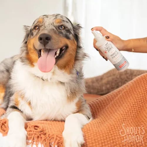 Spray Probiótico Calmante de Picazón Skouts Honor2