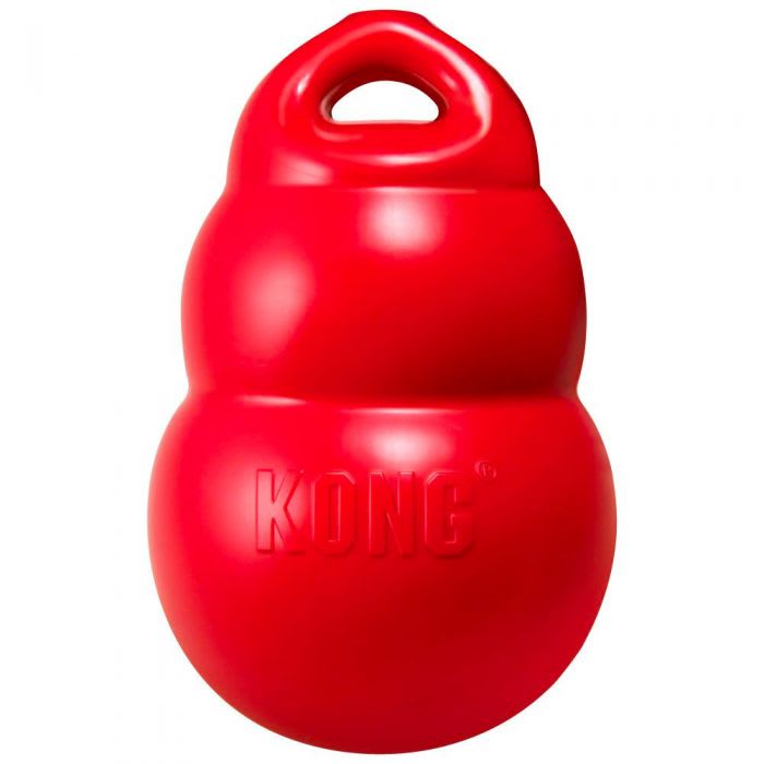 Kong Bounzer3