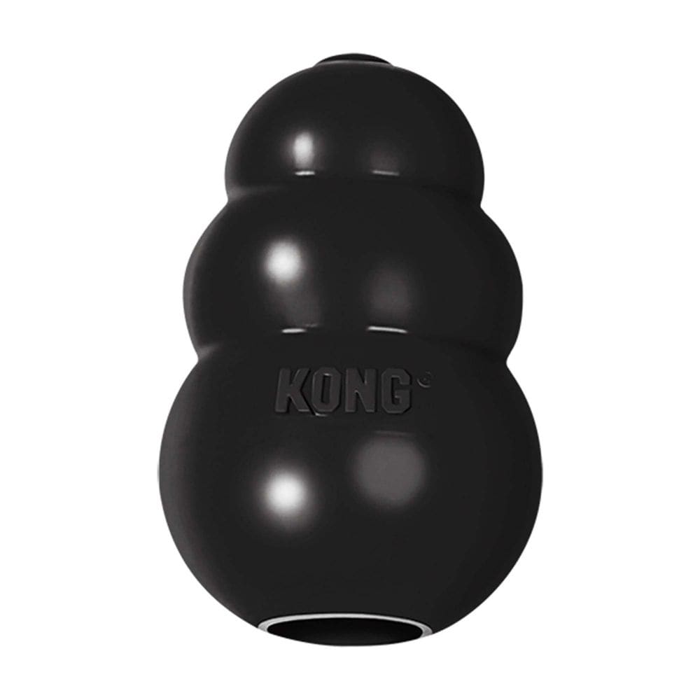 Kong Extreme3