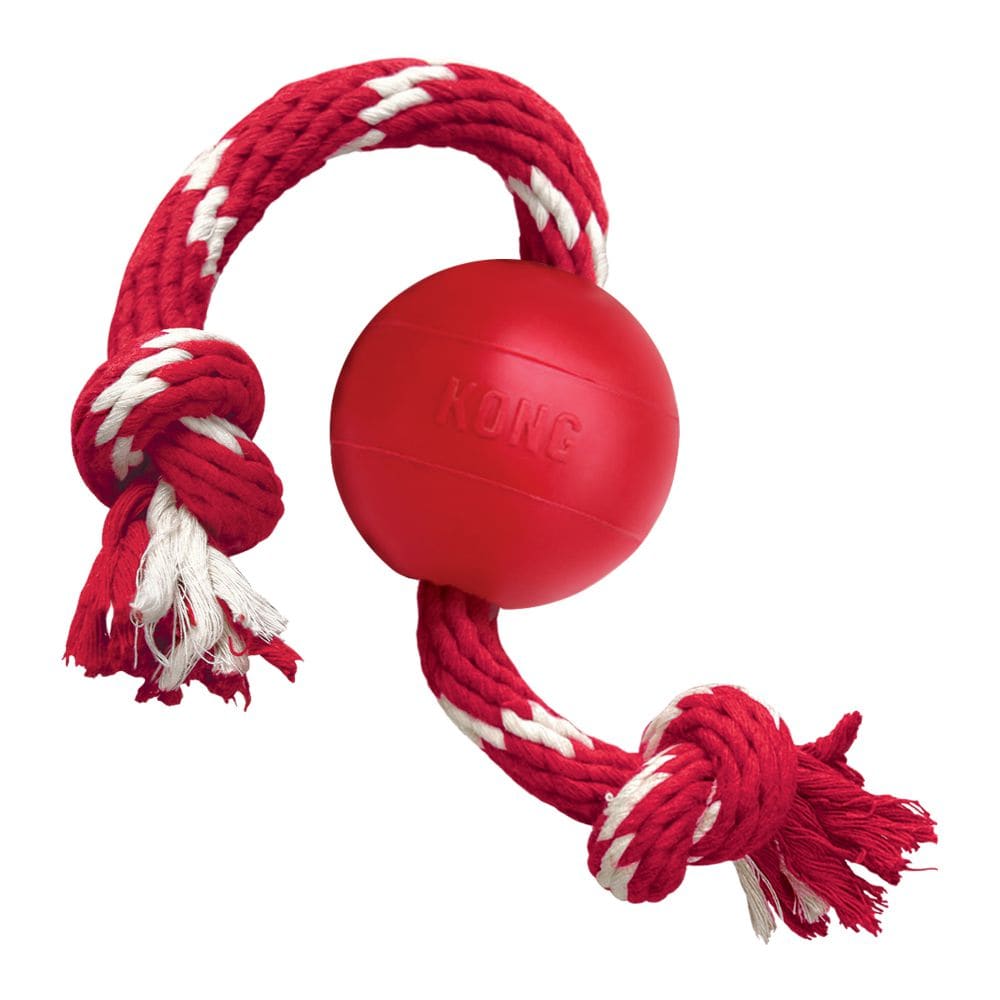Kong Ball With Rope2