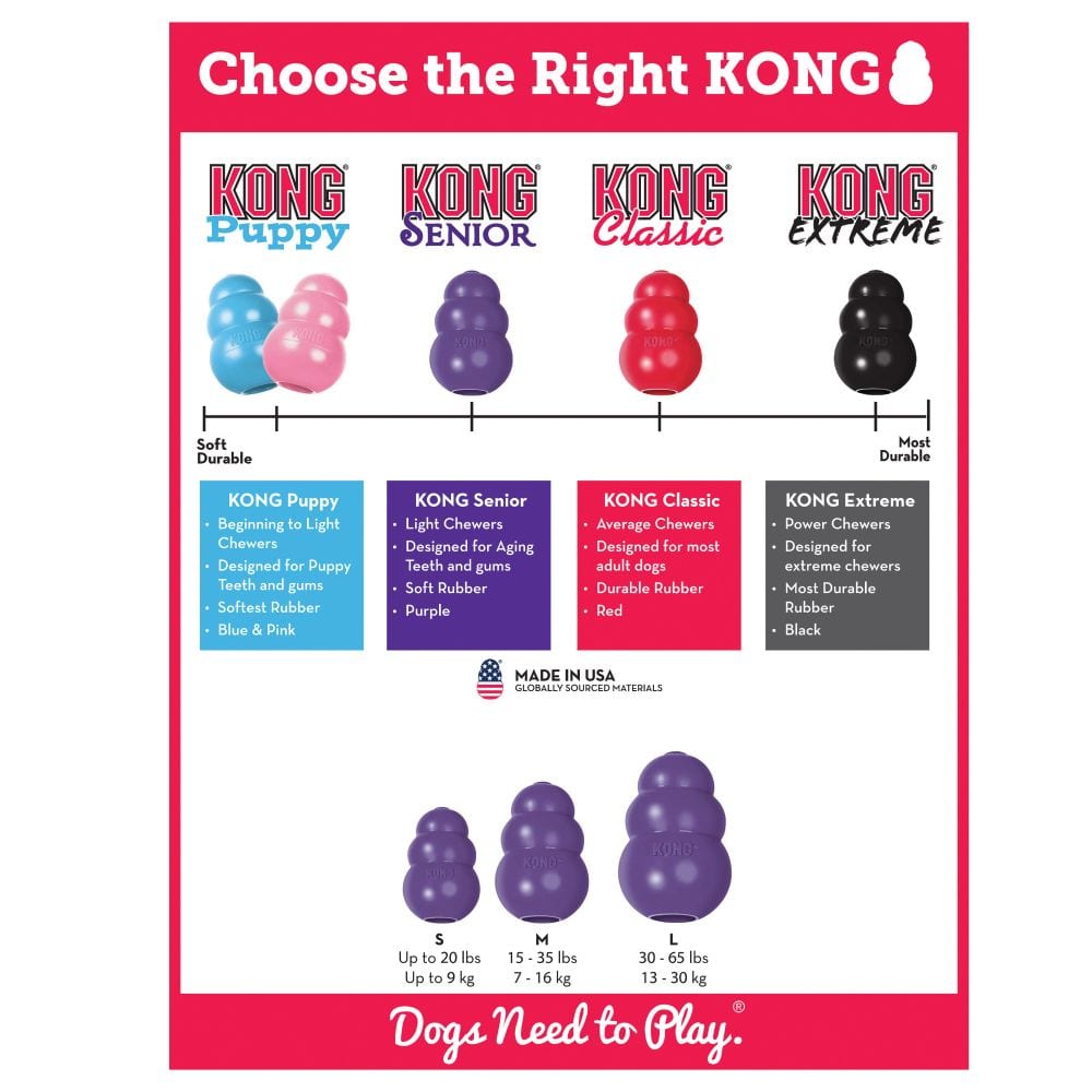 Kong Senior5