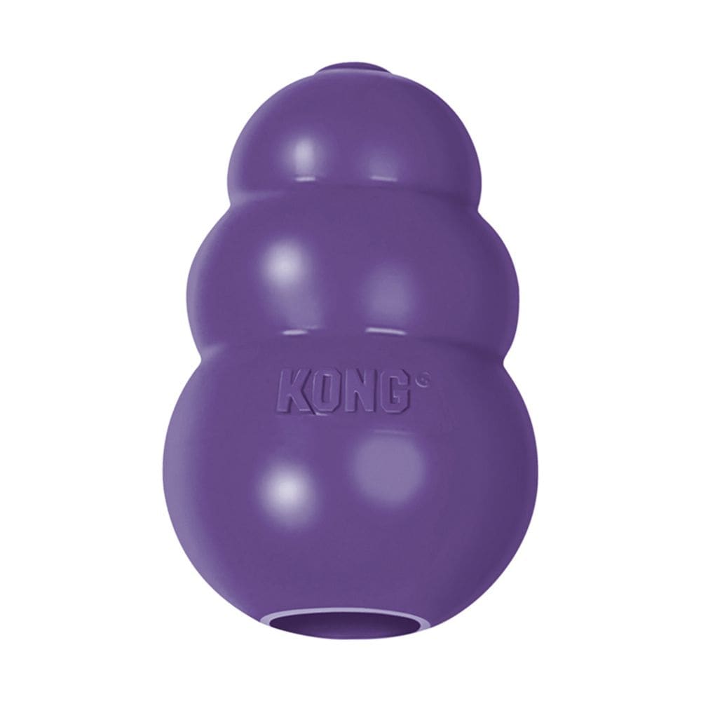 Kong Senior8