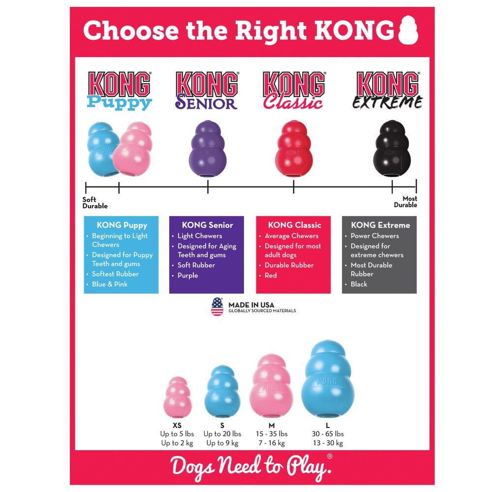 Kong Puppy4