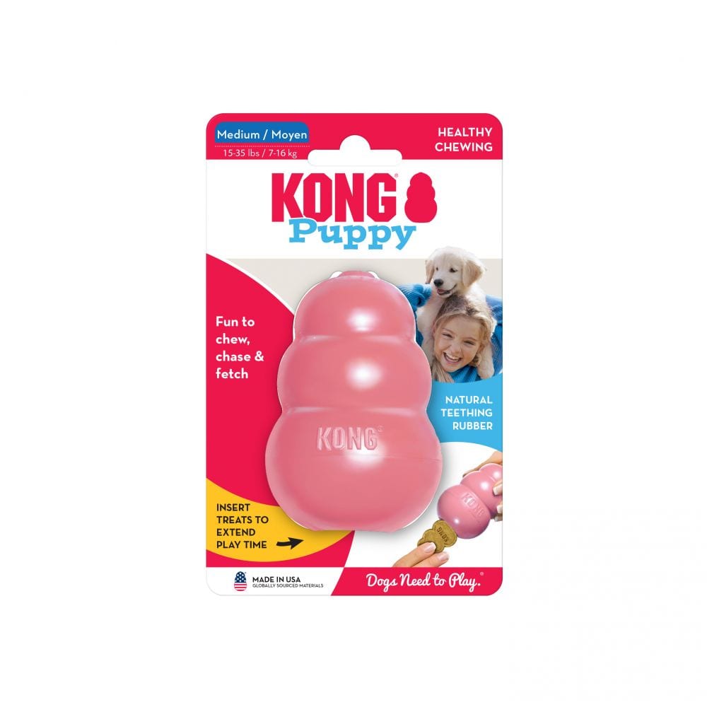 Kong Puppy1