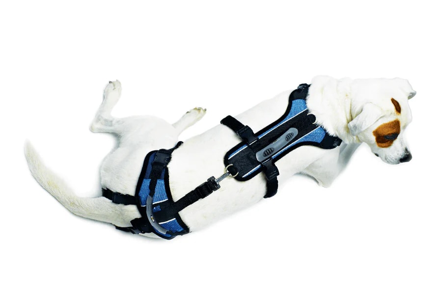 Arnes completo - Help 'Em Up - Full Harness3