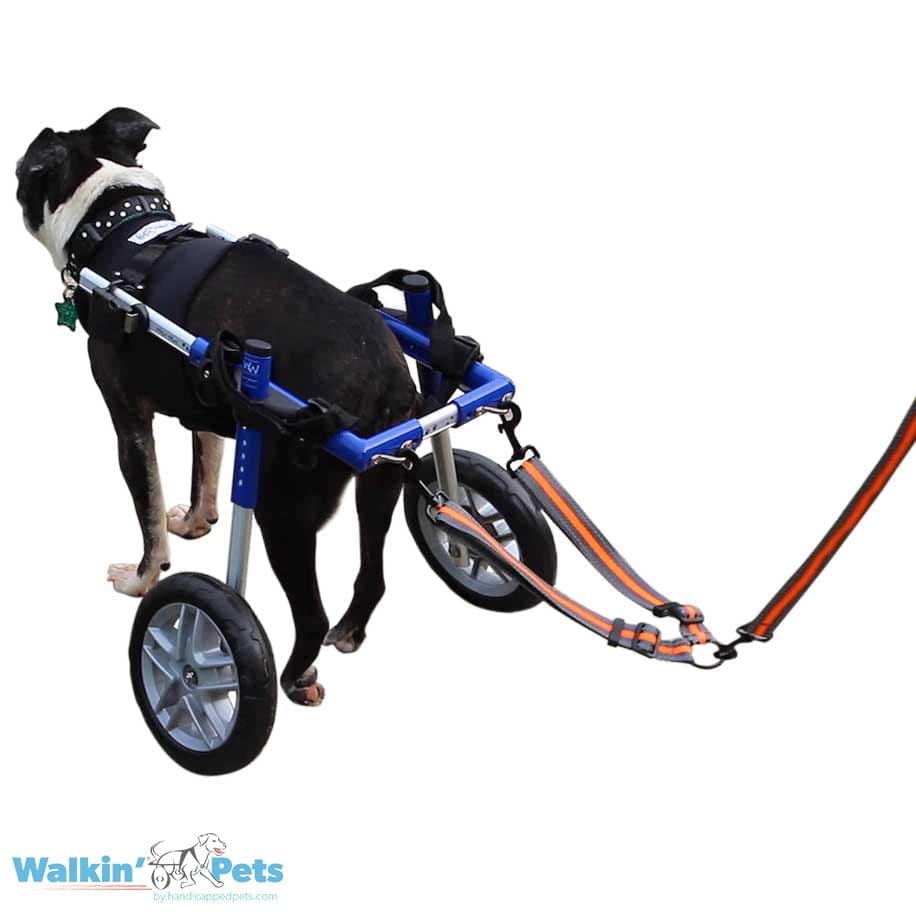 Correa Doble Walkin' para silla de ruedas1
