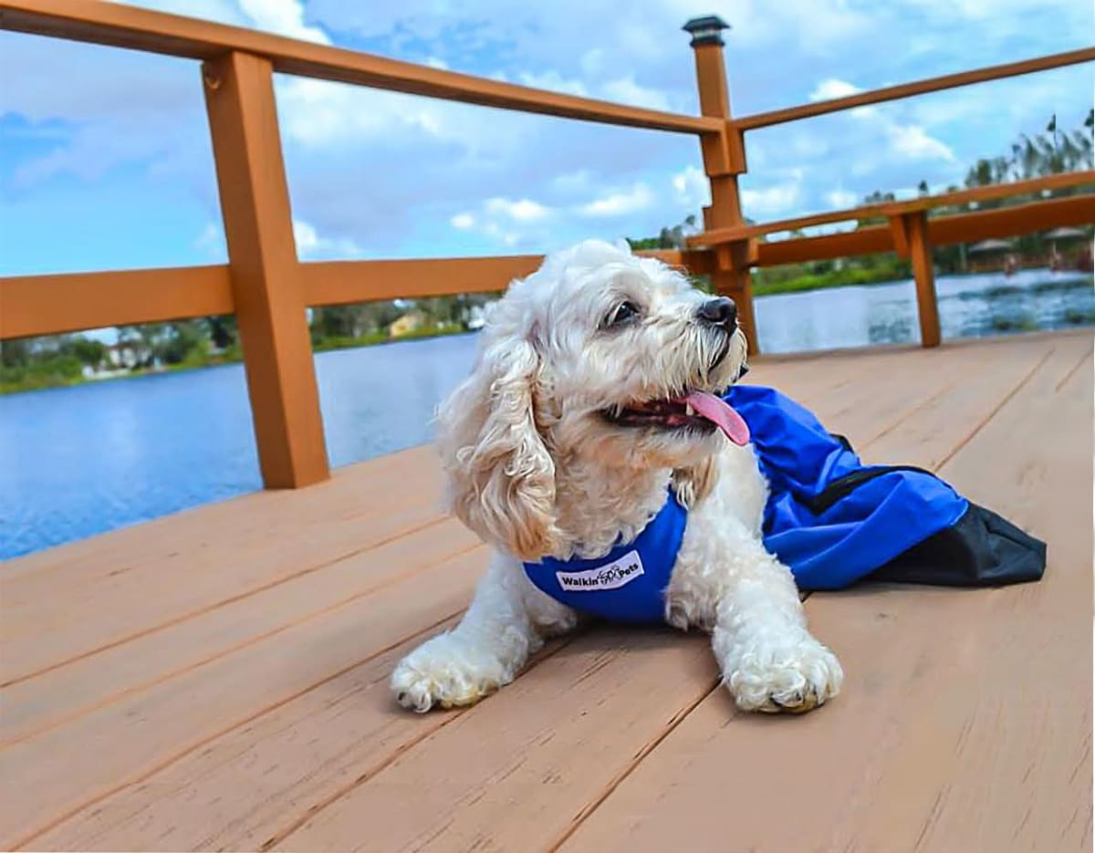 Bolsa de Arrastre Walkin Pets2