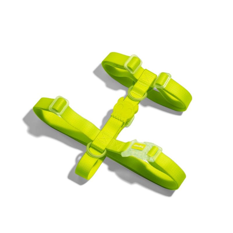 Zeedog H Harness Neopro Lime2