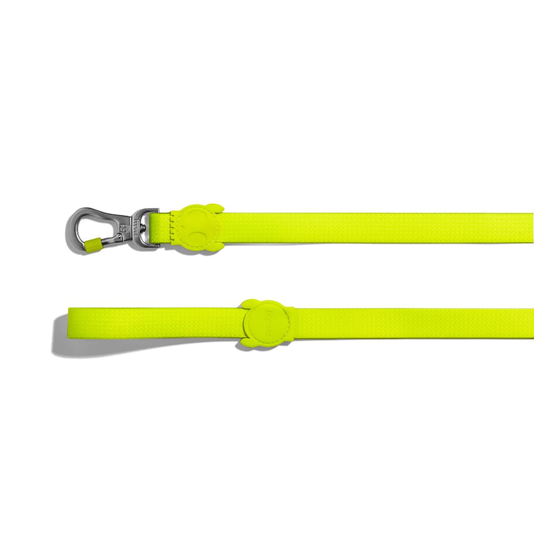 Zeedog Leash Neopro Lime2