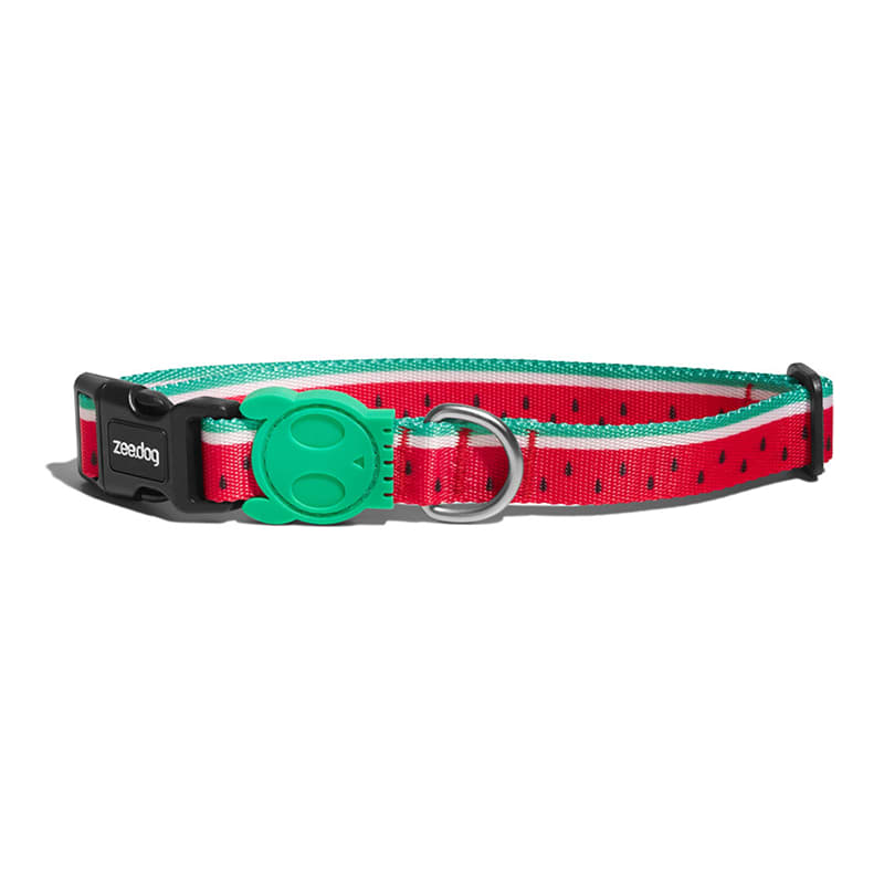 Zeedog Collar Lola3