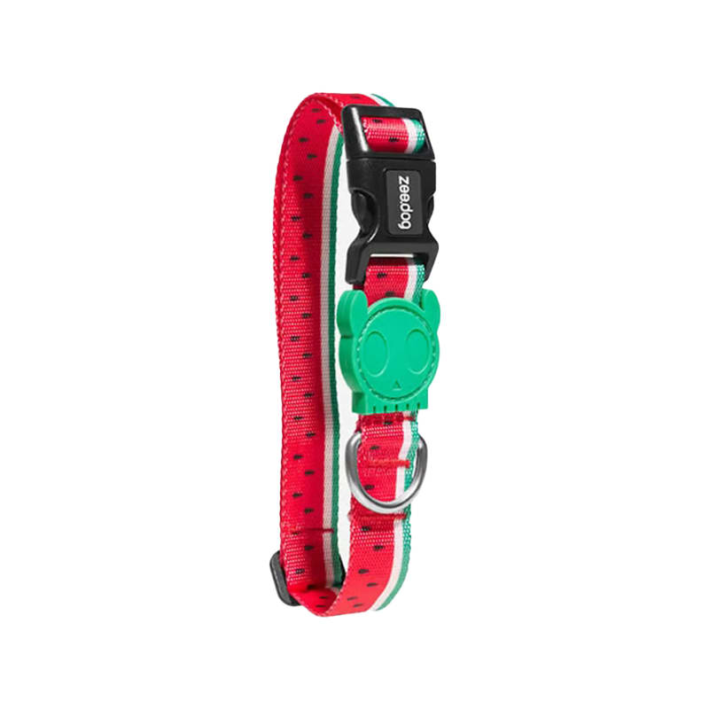 Zeedog Collar Lola2