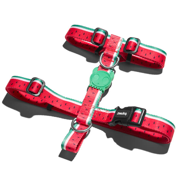 Zeedog H Harness Lola1