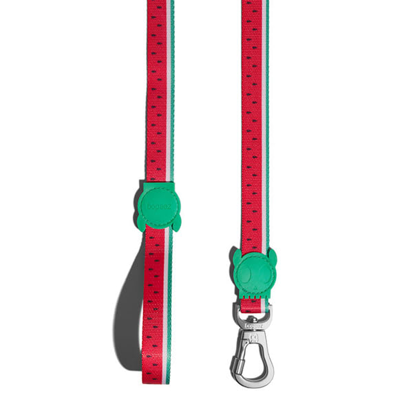 Zeedog Leash Lola2