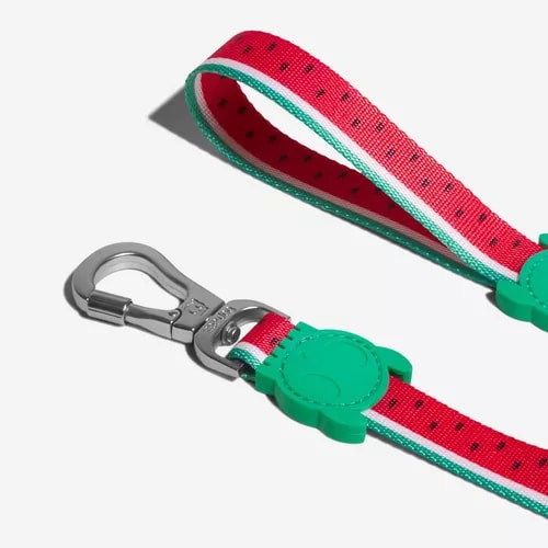 Zeedog Leash Lola3