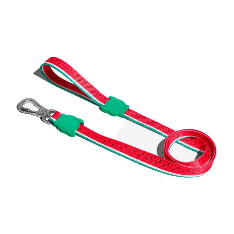 Zeedog Leash Lola1