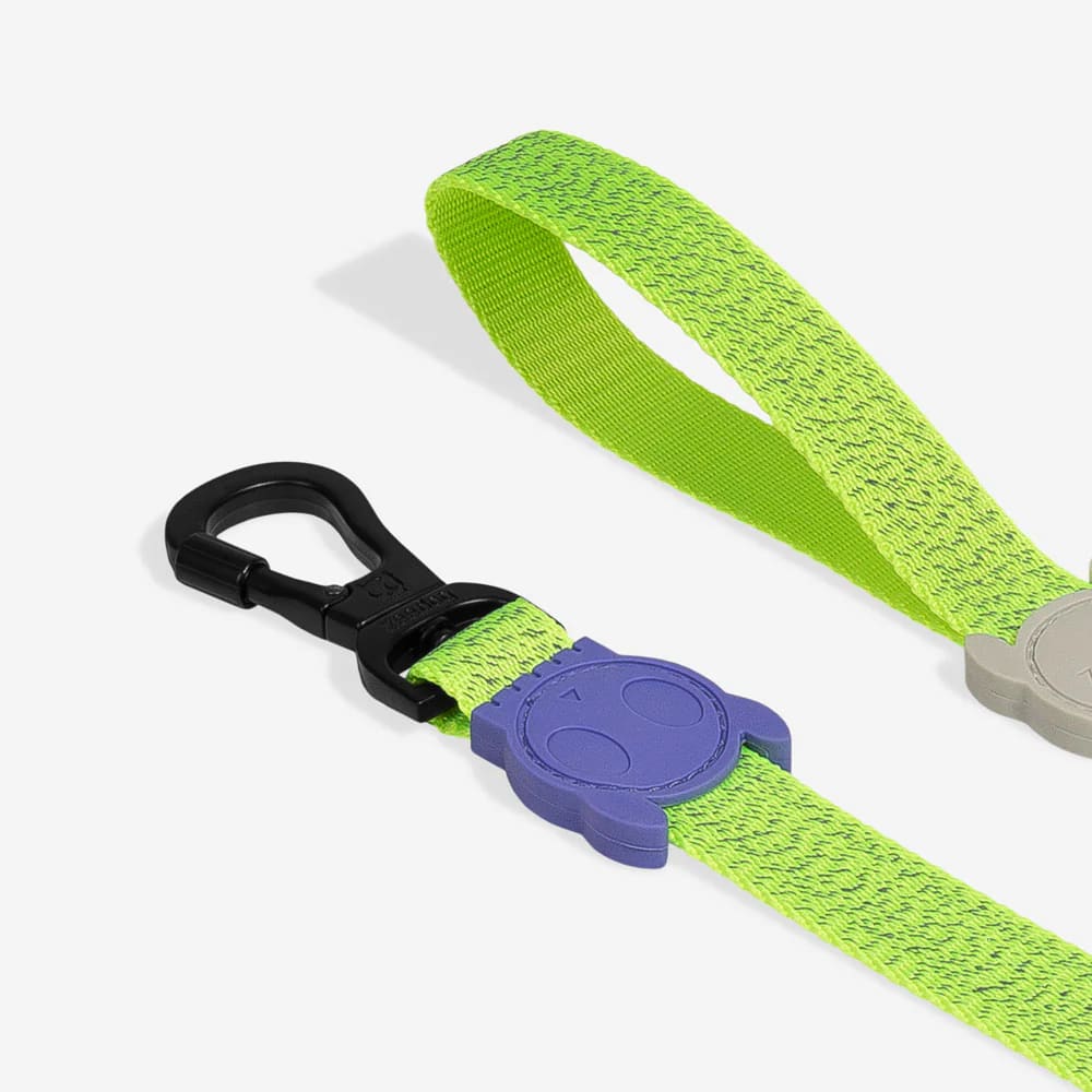 Zeedog Leash Nox Lumen2