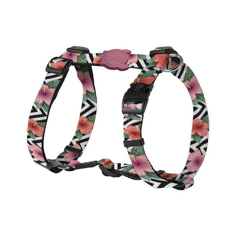 Zeedog H Harness Mahalo2
