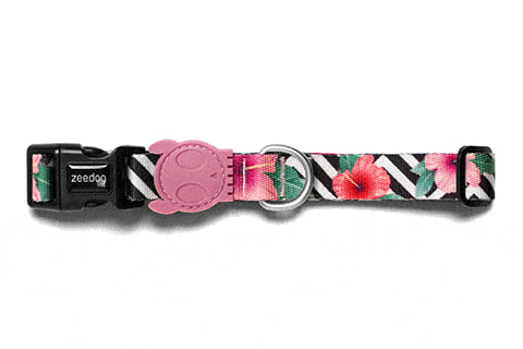 Zeedog Collar Mahalo2