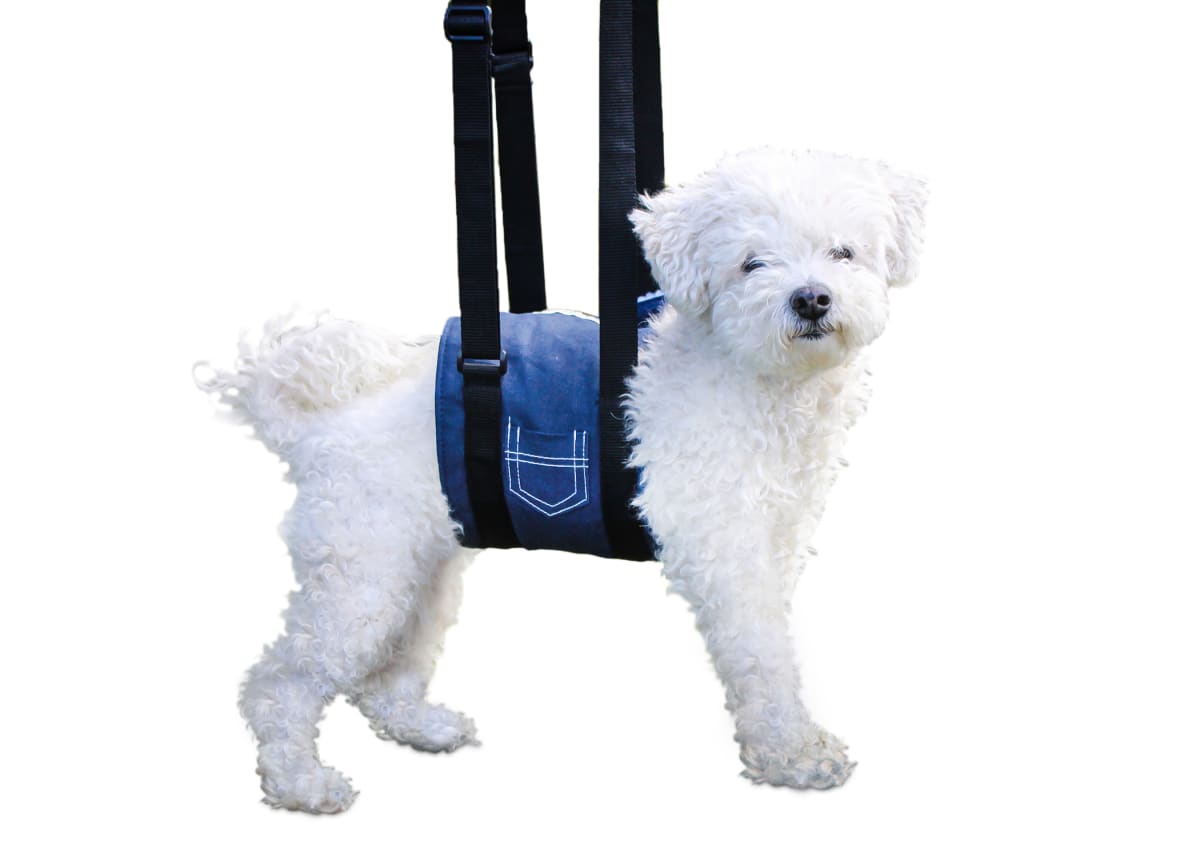 Cabestrillo de apoyo Walkin Pets3