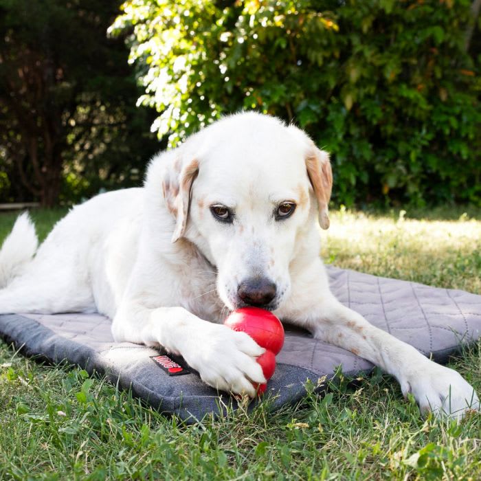 Kong Fold-Up Travel Mat5